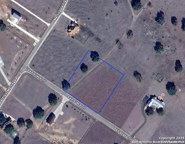 181 Salt Grass Trl, Bandera, TX 78003 - #1