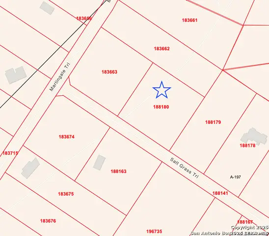 181 Salt Grass Trl, Bandera, TX 78003 - #3