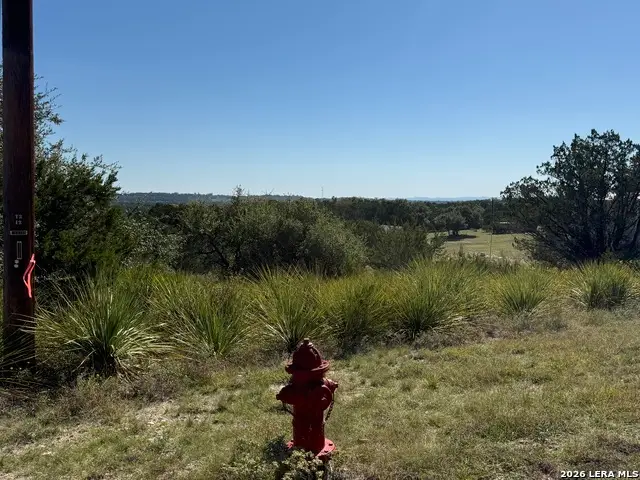390 Thoroughbred Ln, Spring Branch, TX 78070 - #1
