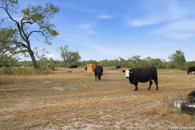 1991 S Highway 37 Access, Three Rivers, TX 78071 - #3