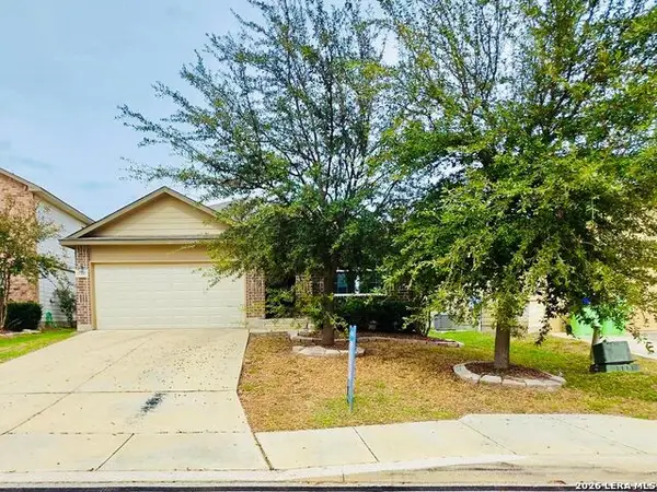 15537 Gray Catbird, San Antonio, TX 78253