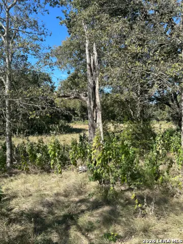 31303 Smithson Valley Rd, Bulverde, TX 78163 - #3