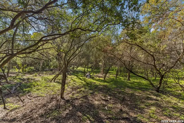 000 River Pt, Boerne, TX 78006 - #2