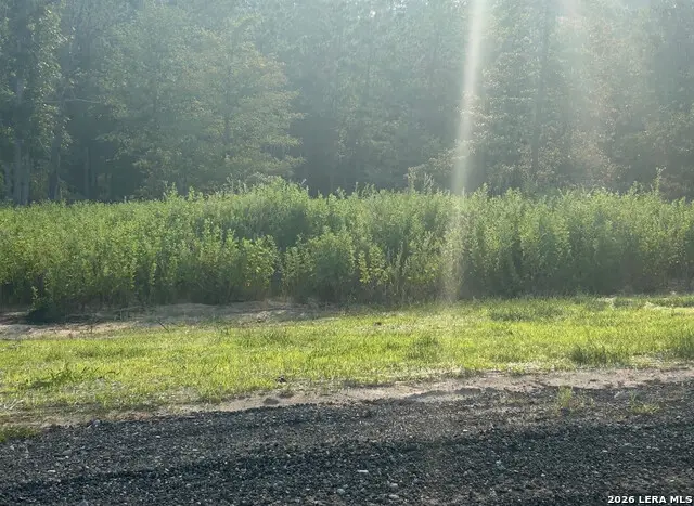 LOT 217 Ridge Lake Estates, Livingston, TX 77351 - #2