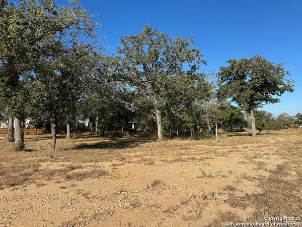 132 Chinaberry Hl, La Vernia, TX 78121