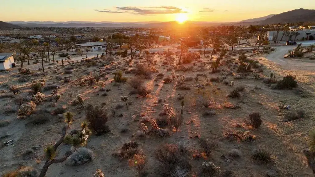 0 Saddleback, Joshua Tree, CA 92252 - #1