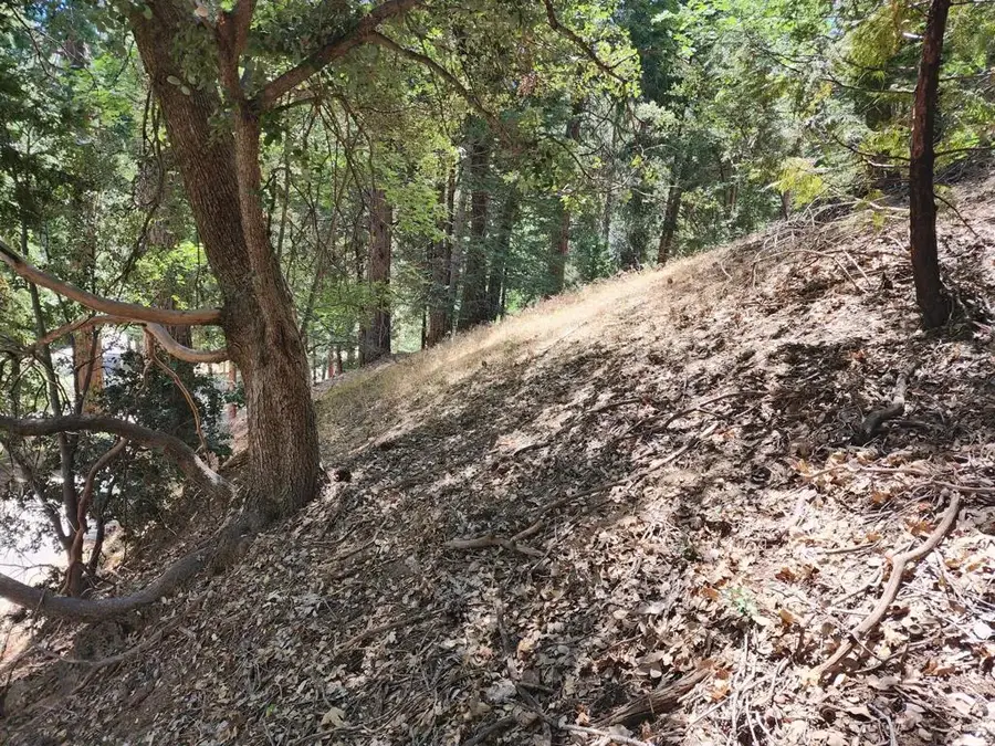 0 Edelweiss, Crestline, CA 92325 - #3