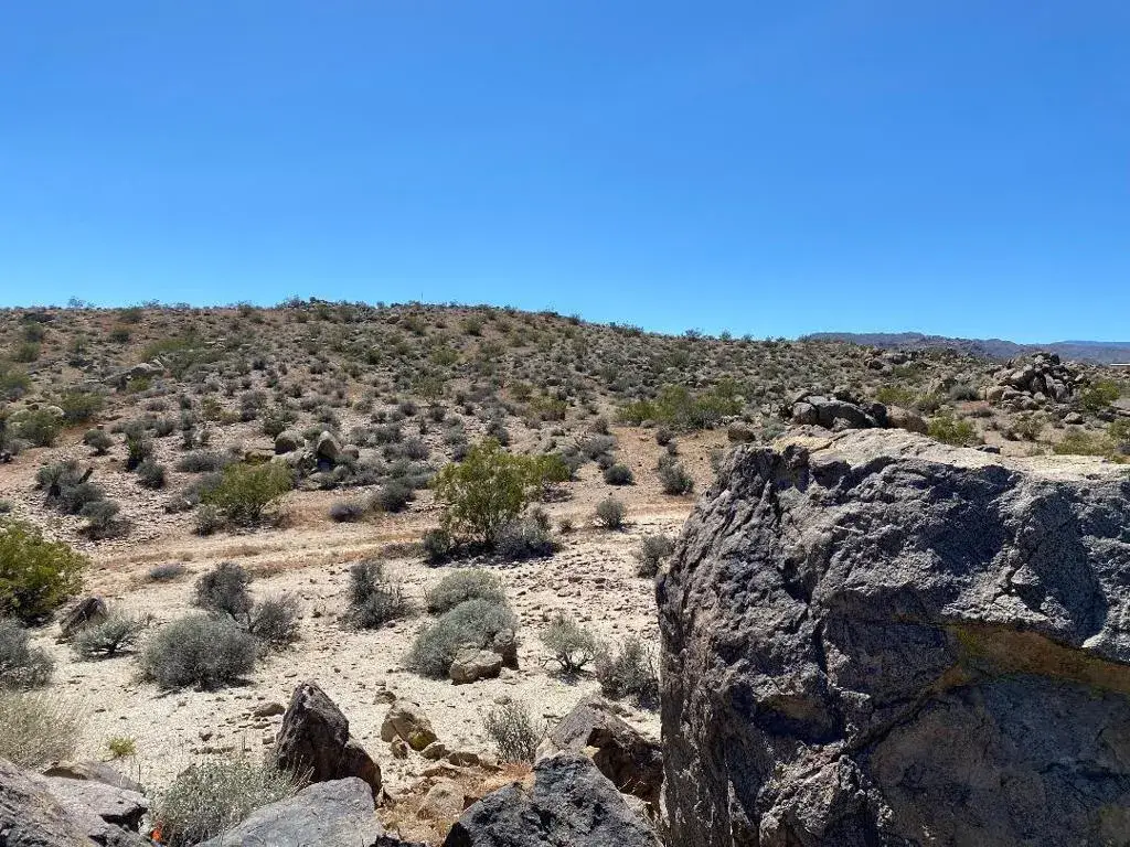 5168 Lazy, Johnson Valley, CA 92285 - #1