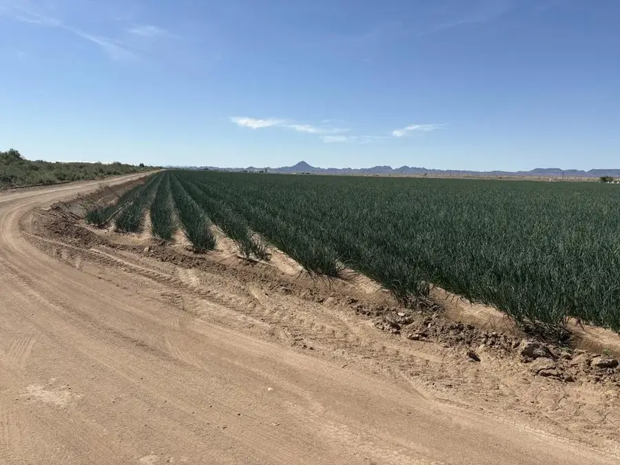 187 Water Toll Acres On Ben Hulse, Blythe, CA 92225 - #2
