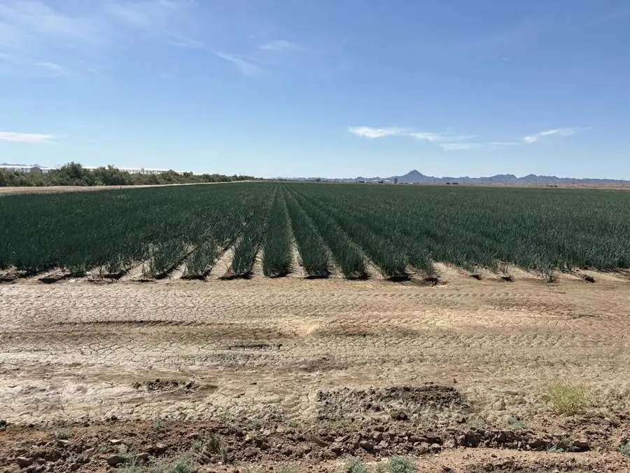 187 Water Toll Acres On Ben Hulse, Blythe, CA 92225 - #3