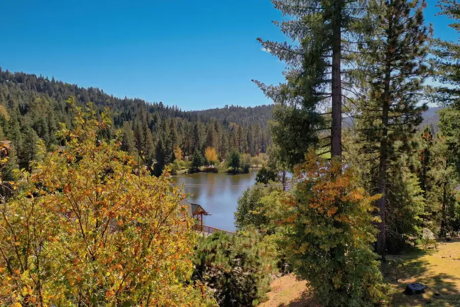 788 Brentwood, Lake Arrowhead, CA 92352 - #3