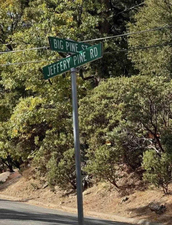 53642 Jeffrey Pine, Idyllwild, CA 92549