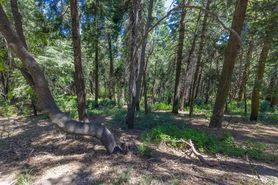 Cedar Pines, Crestline, CA 92325 - #2