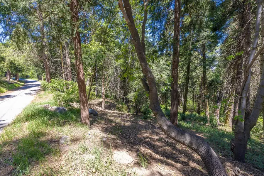 Cedar Pines, Crestline, CA 92325 - #3
