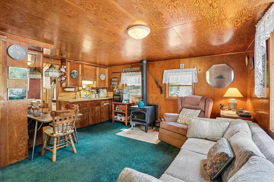 25145 Fern Valley Road, Idyllwild, CA 92549 - #3