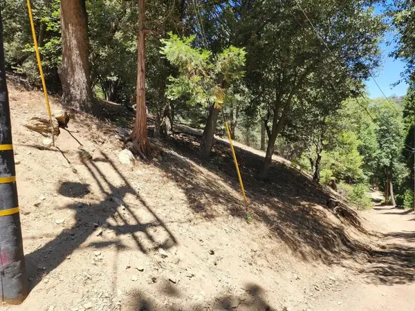 0 Burnt Mill Canyon, Cedarpines Park, CA 92322