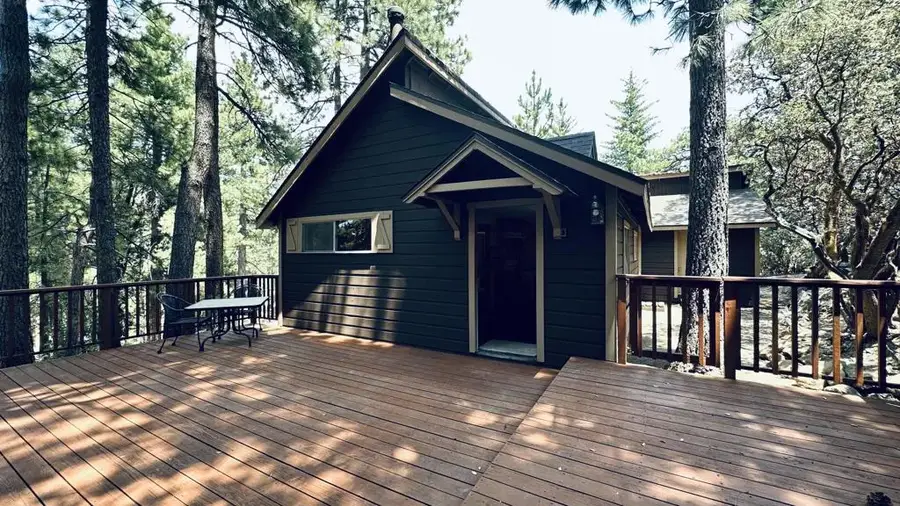 52955 Fern Land Drive, Idyllwild, CA 92549 - #3