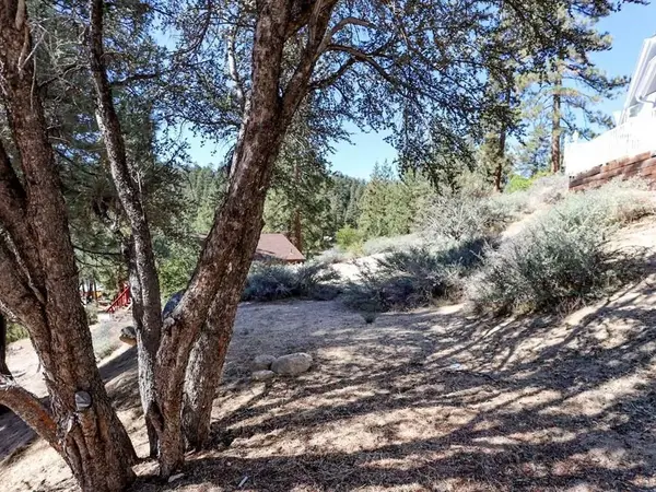 0 Cedar Dell, Fawnskin, CA 92333