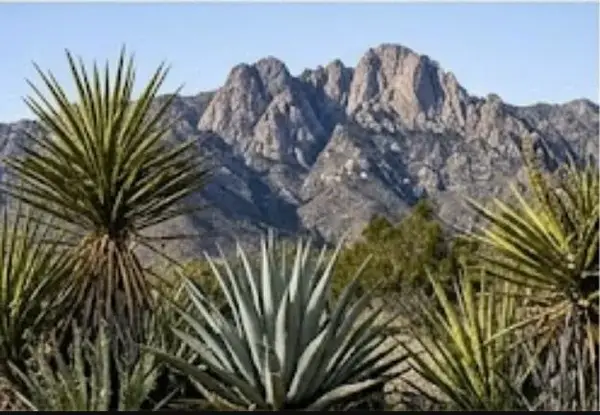 63330 Jeraboa, Mountain Center, CA 92561