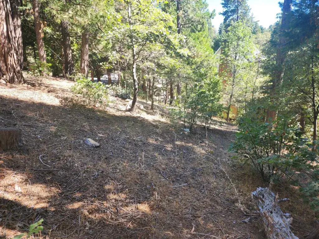 0 Grass Valley, Lake Arrowhead, CA 92352 - #1