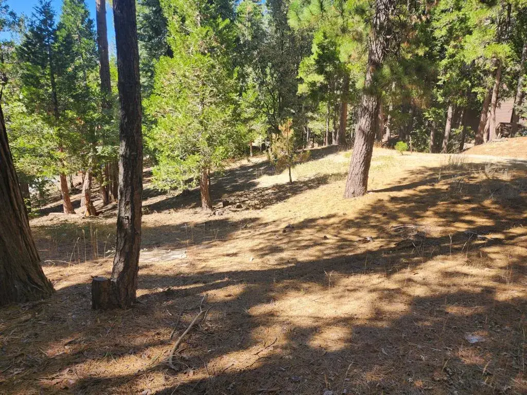 0 Grass Valley, Lake Arrowhead, CA 92352 - #1