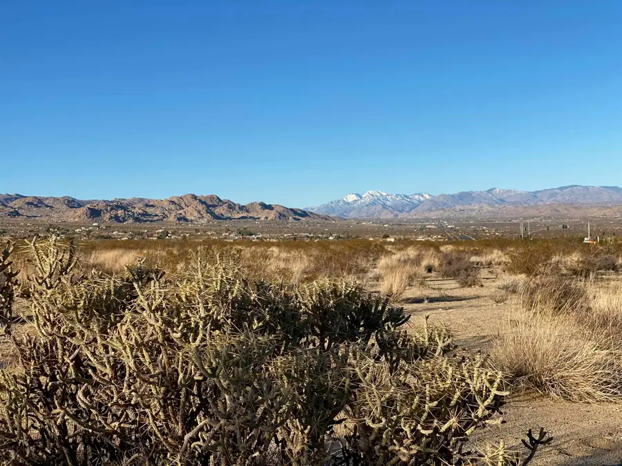 29 Palms Hwy #1, Joshua Tree, CA 92252 - #2