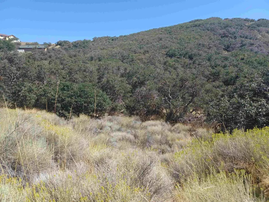 22920 Constance Way #102, Tehachapi, CA 93561 - #2