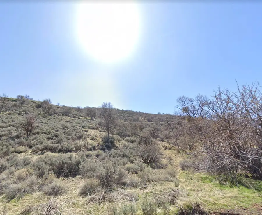 22920 Constance Way #102, Tehachapi, CA 93561 - #3