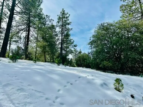 Lot 8 Saunders Meadow Rd #8, Idyllwild, CA 92549
