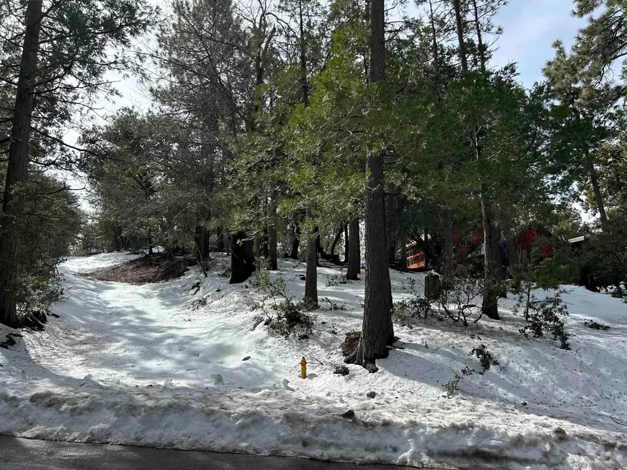 Lot 8 Saunders Meadow Rd #8, Idyllwild, CA 92549 - Image #2