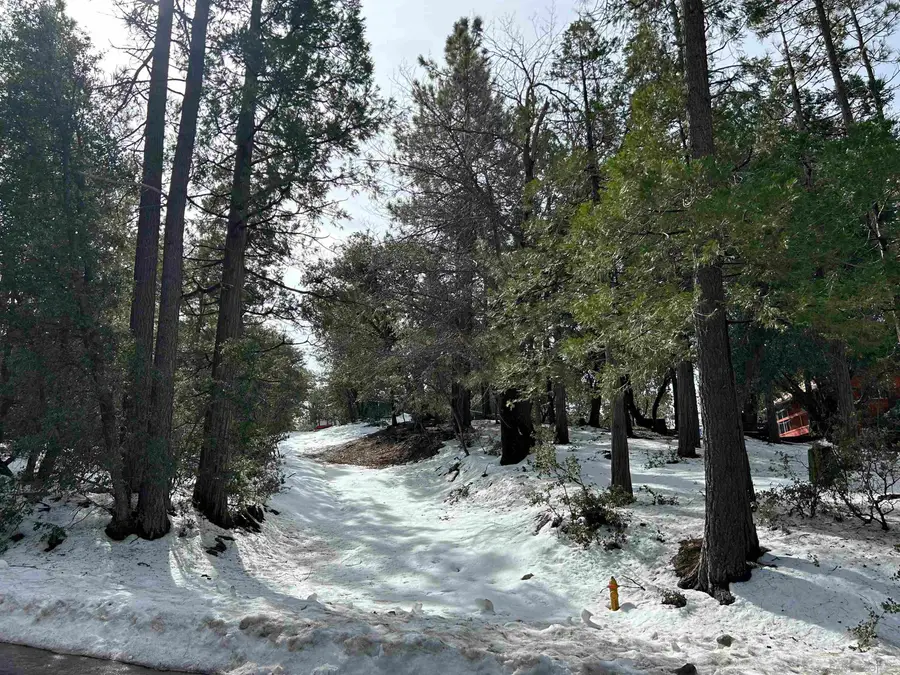 Lot 8 Saunders Meadow Rd #8, Idyllwild, CA 92549 - Image #3