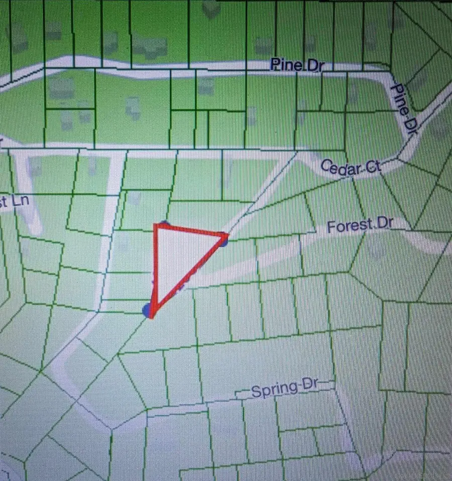 0 Forest Dr #13, Cedarpines Park, CA 92322 - Image #3