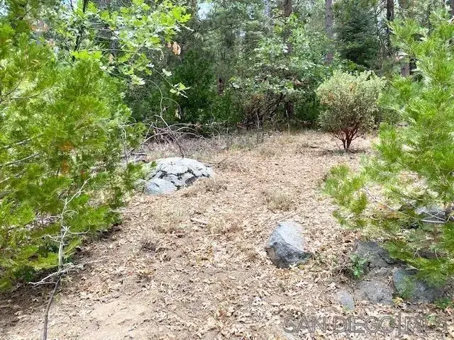0 Laurel Trail Lot #7, Idyllwild Pine Cove, CA 92549 - Image #2