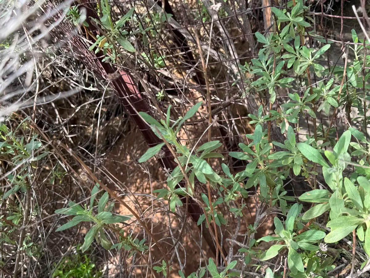 25111 N Centre City Pkwy #30, Escondido, CA 92026 - Image #1