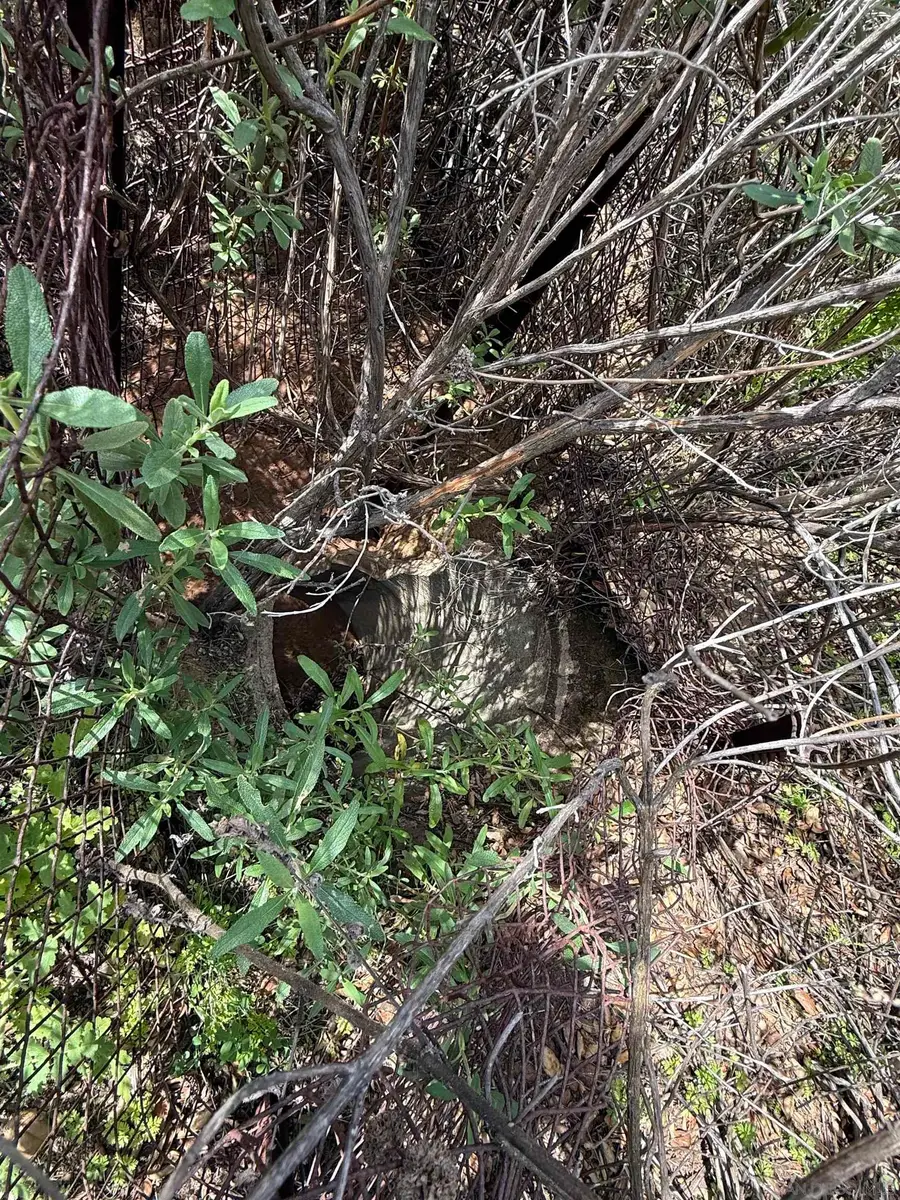 25111 N Centre City Pkwy #30, Escondido, CA 92026 - Image #3