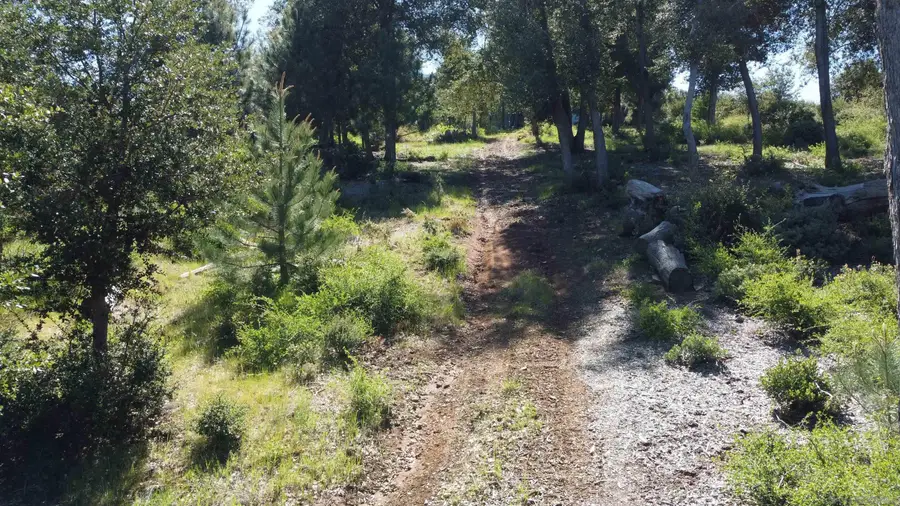 000 Toyon Mountain Ln #14, Julian, CA 92036 - Image #3