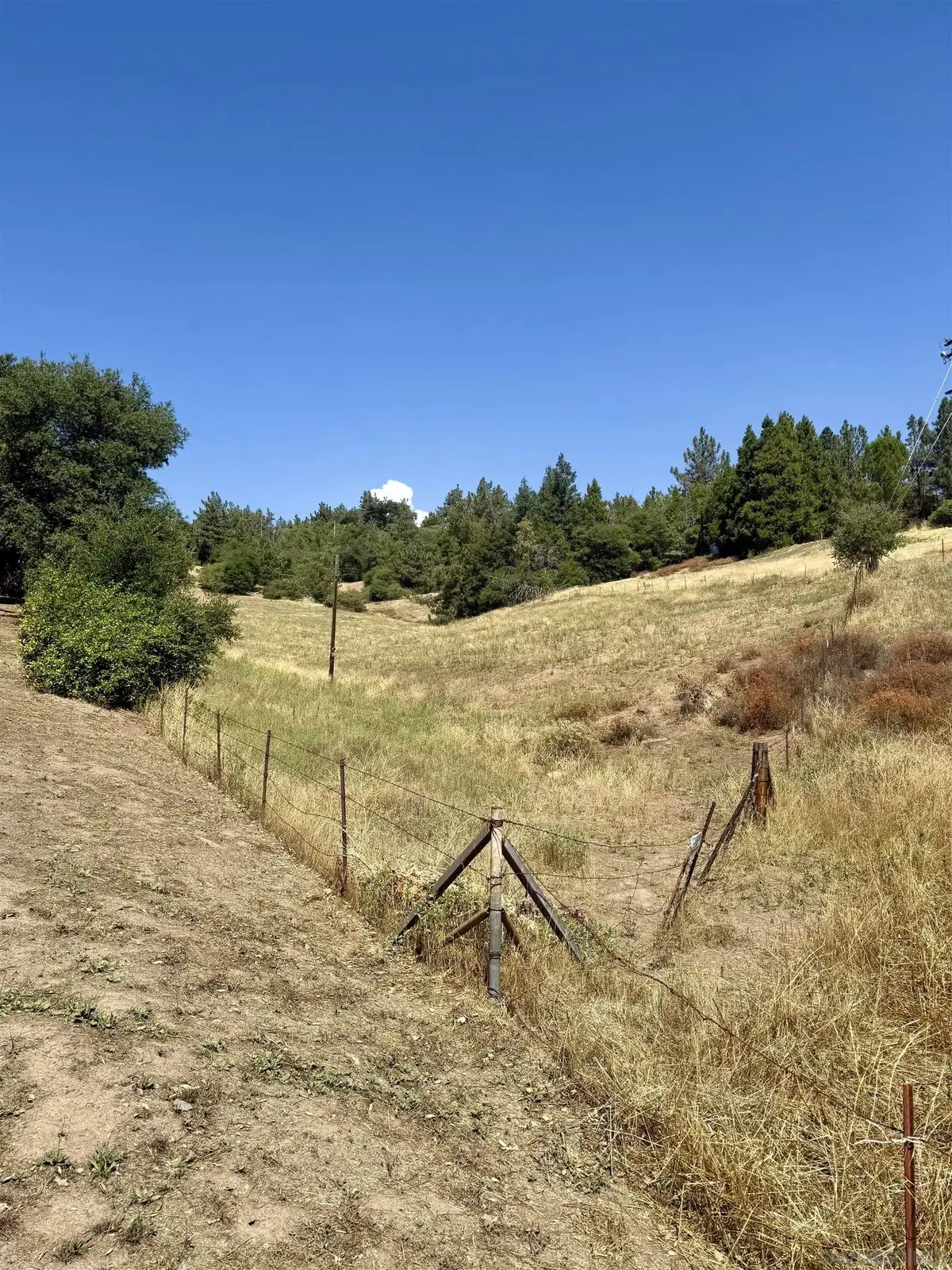 Pinezanita Lane, Julian, CA 92036 - Image #1