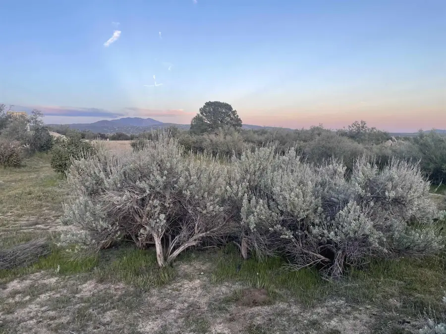 56795 Cain Road, Anza, CA 92539 - Image #3