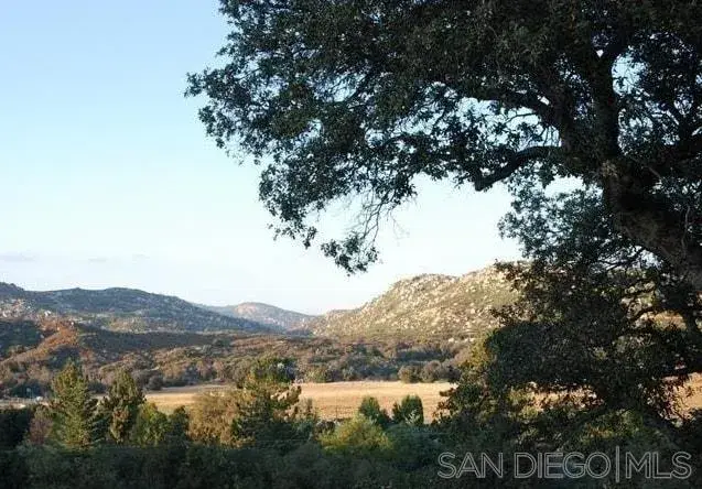 9502 Elm Drive, Descanso, CA 91916 - Image #1