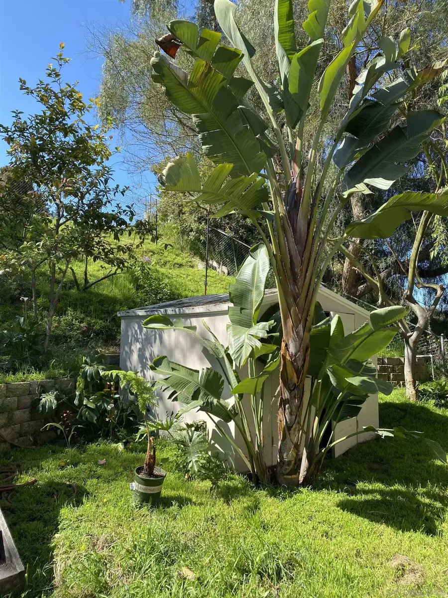 5015 Macario Dr, Oceanside, CA 92057 - Image #2