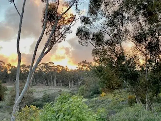 2835 Hillsboro Ct, Carlsbad, CA 92010 - #3