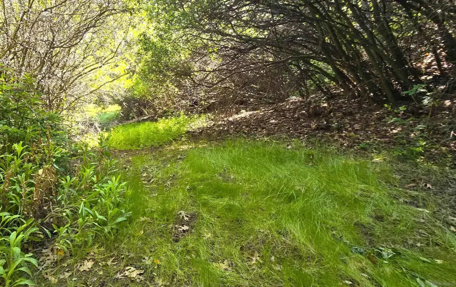 38 Creek Rd. #66, 13, Julian, CA 92036 - #2