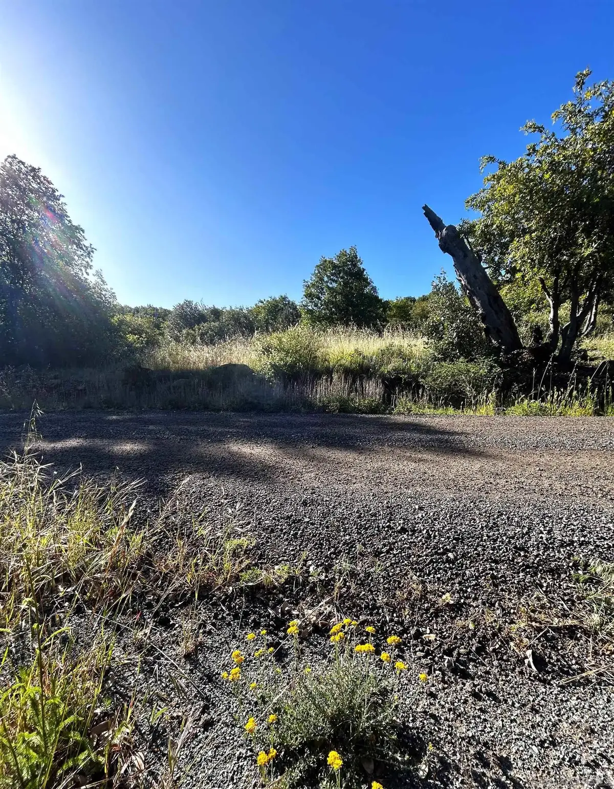 Oak Way #24, Julian, CA 92036 - #1