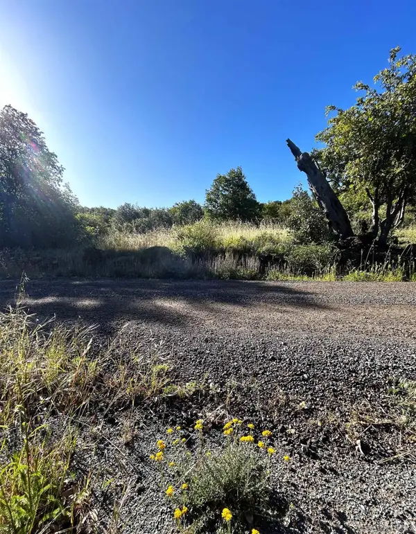 Oak Way #24, Julian, CA 92036