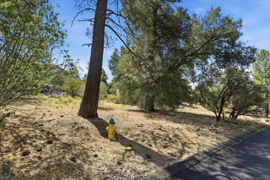 8515 Foothill Blvd #006479, Pine Valley, CA 91962 - #3