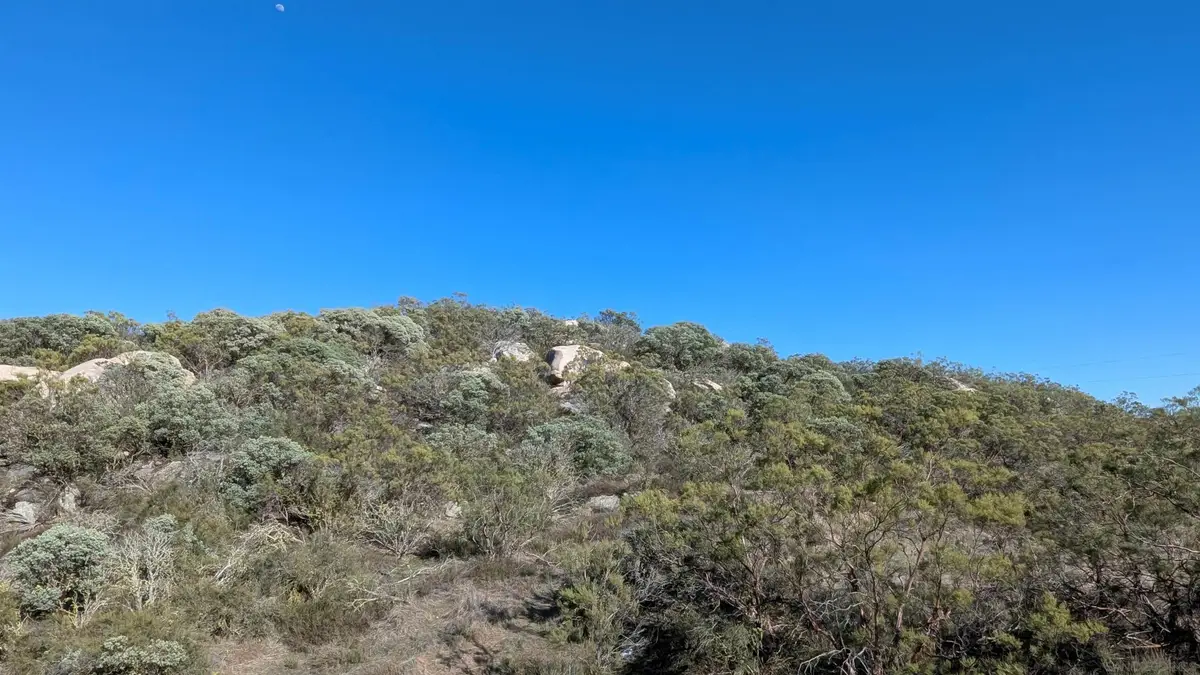 778 Lot on Crazy Horse Canyon #778, Aguanga, CA 92536 - #1