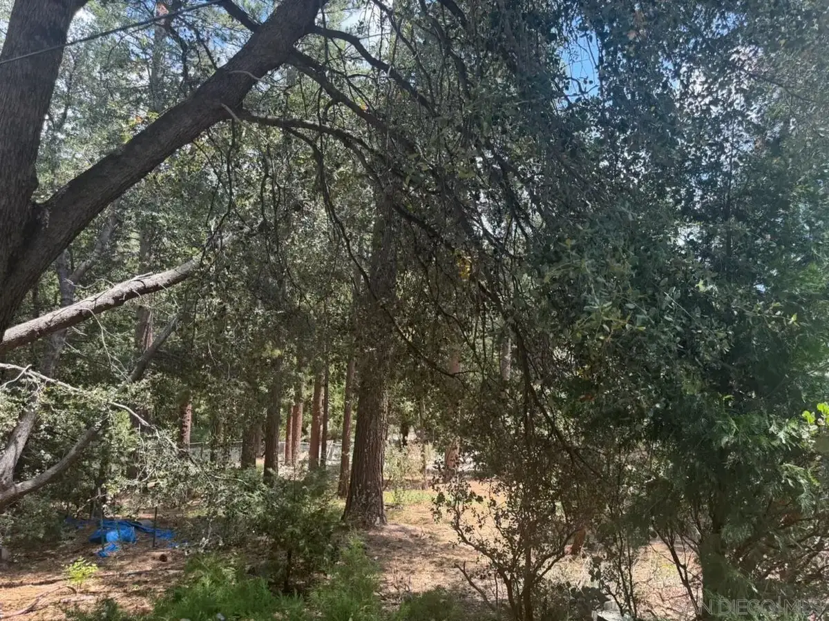 00 Big Pine, Idyllwild, CA 92549 - #1