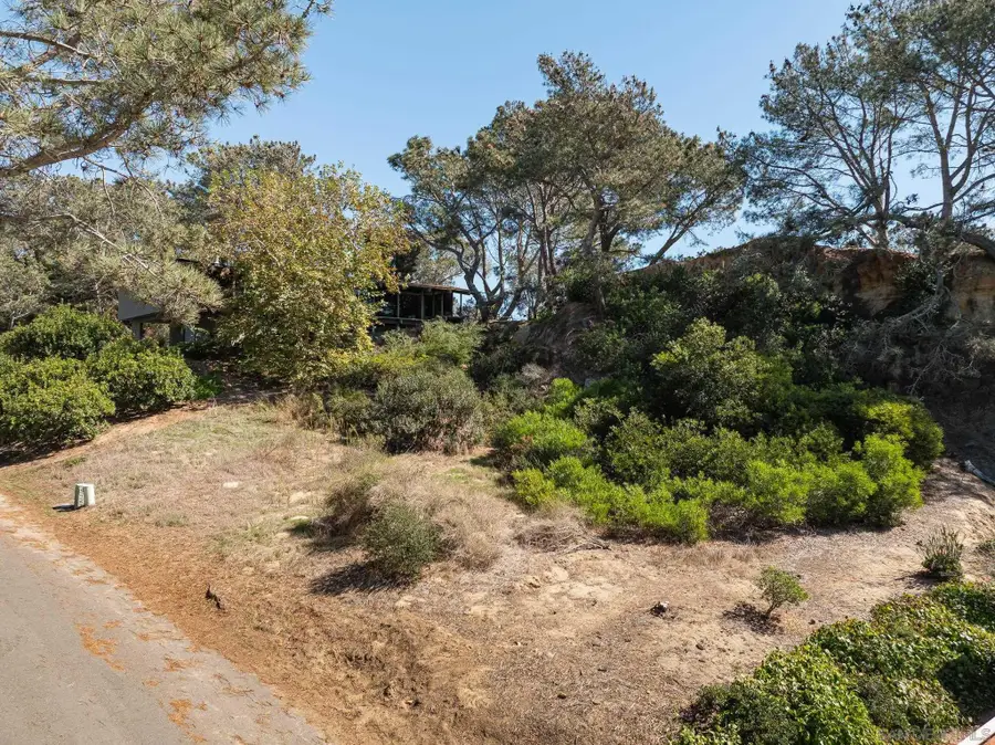 00000 Hidden Pines, Del Mar, CA 92014 - #3