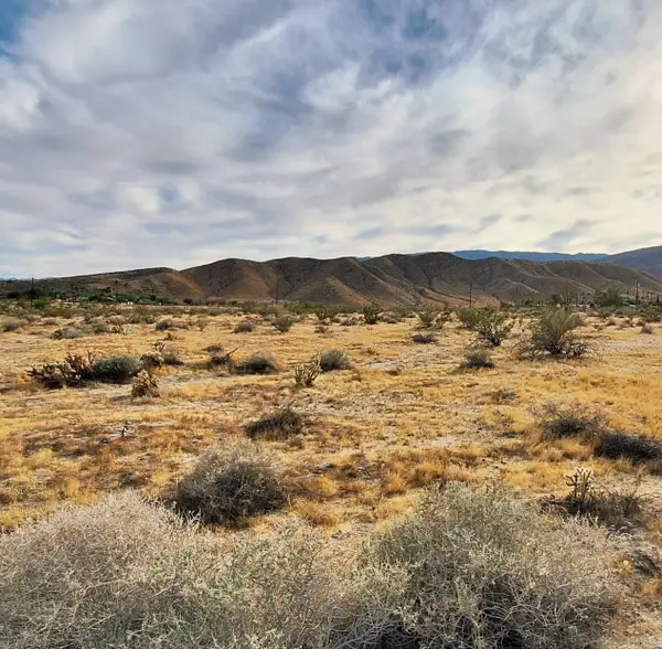 Verbena Drive #100, Borrego Springs, CA 92004