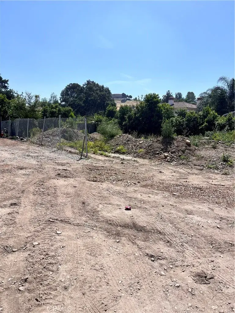 740 N Amelia Avenue, San Dimas, CA 91773 - #3